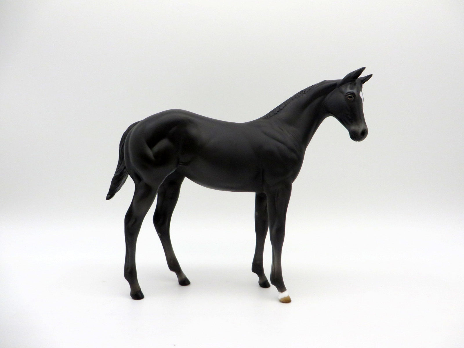 Zigyn-OOAK  Black Weanling Equilocity 2021 Painted by Audrey Dixon