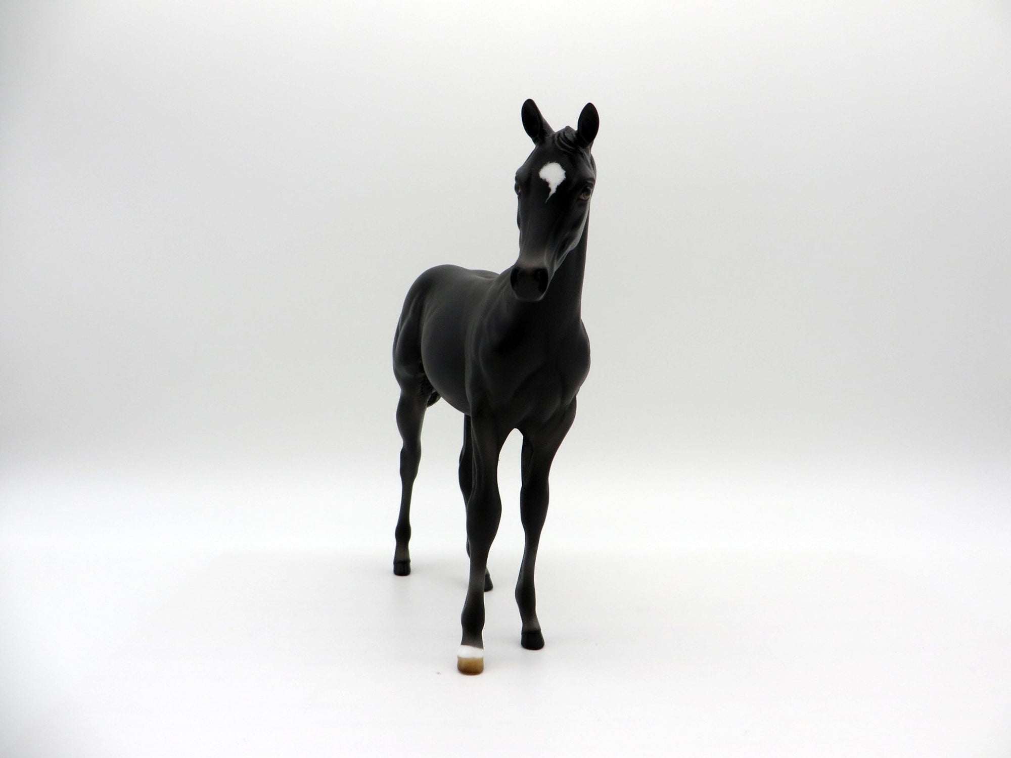 Zigyn-OOAK  Black Weanling Equilocity 2021 Painted by Audrey Dixon
