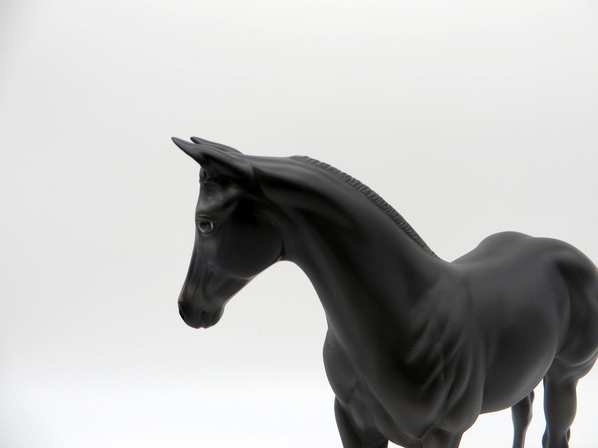 Zigyn-OOAK  Black Weanling Equilocity 2021 Painted by Audrey Dixon