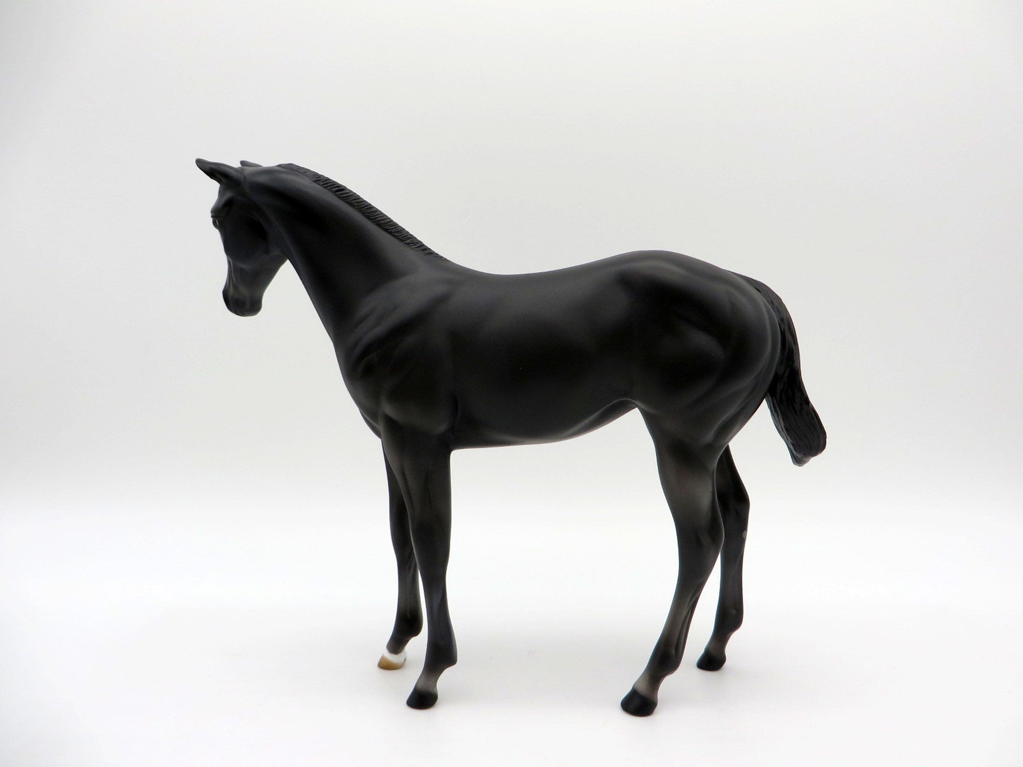 Zigyn-OOAK  Black Weanling Equilocity 2021 Painted by Audrey Dixon