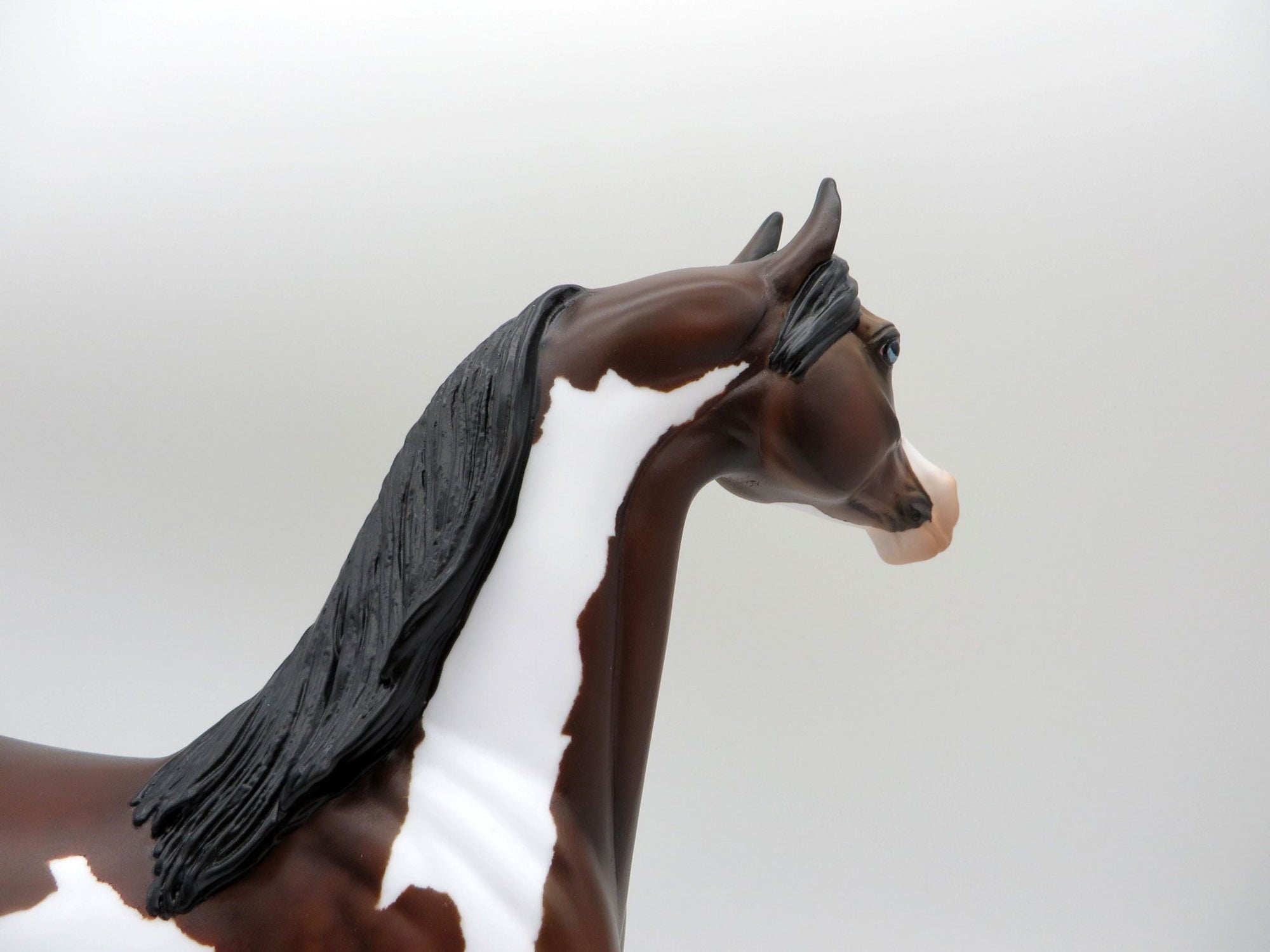 Zin Fadel-OOAK Dapple Bay Pinto Painted by Audrey Dixon  5/21/21