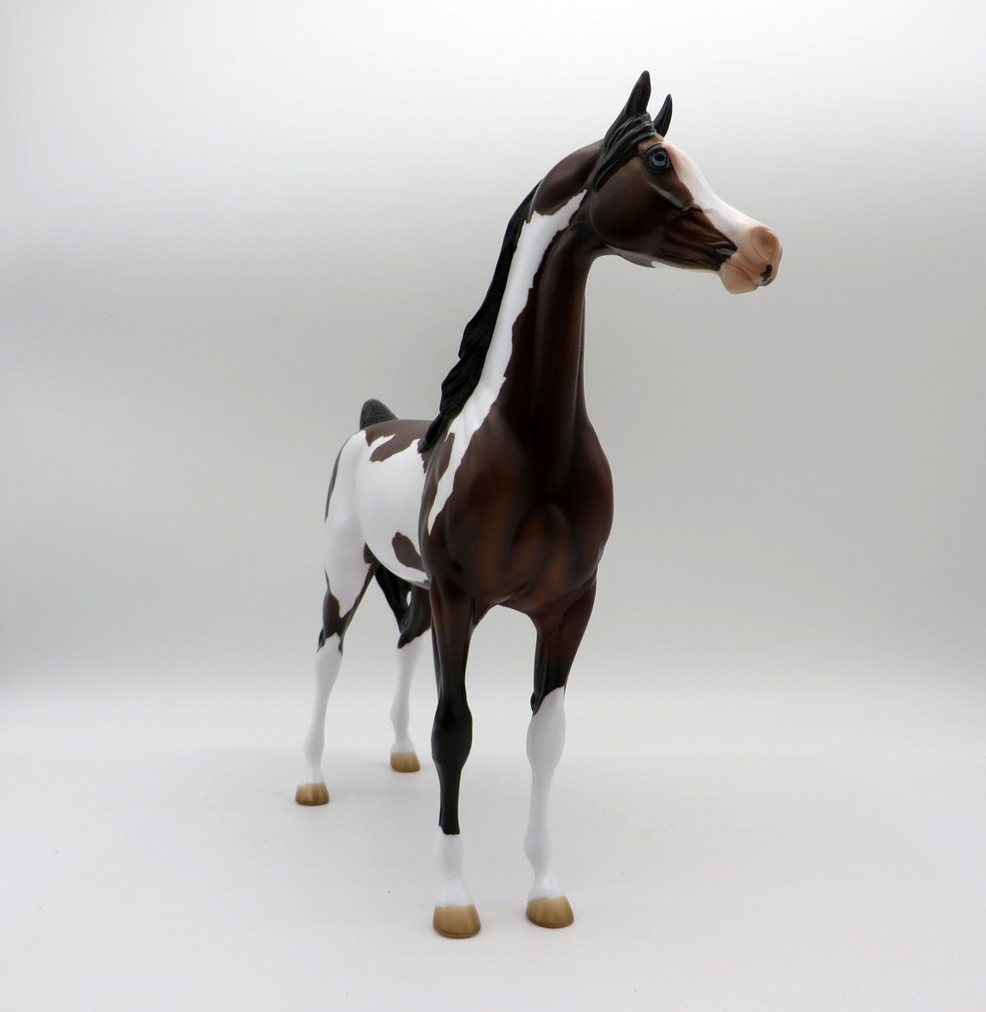 Zin Fadel-OOAK Dapple Bay Pinto Painted by Audrey Dixon  5/21/21