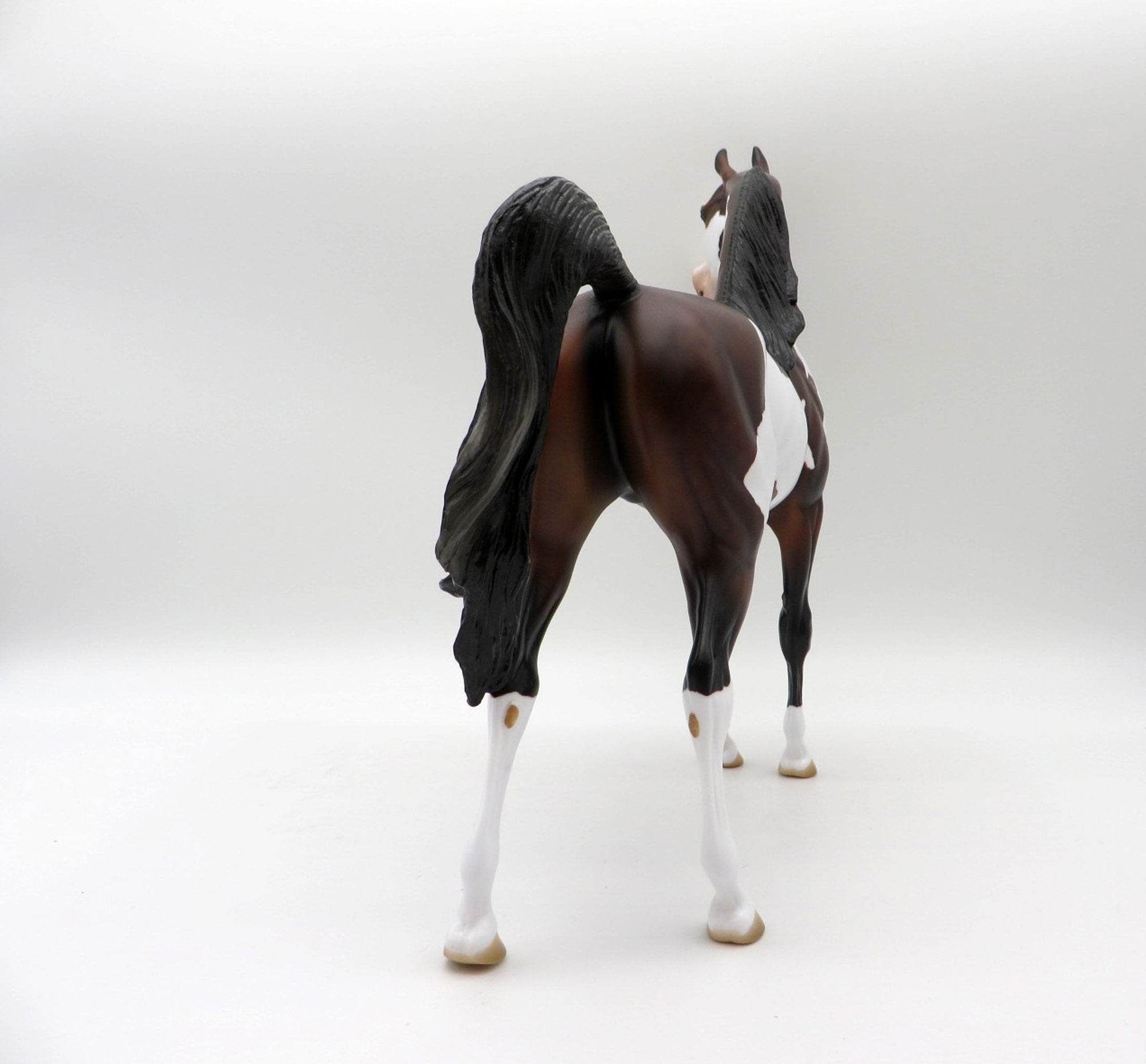 Zin Fadel-OOAK Dapple Bay Pinto Painted by Audrey Dixon  5/21/21