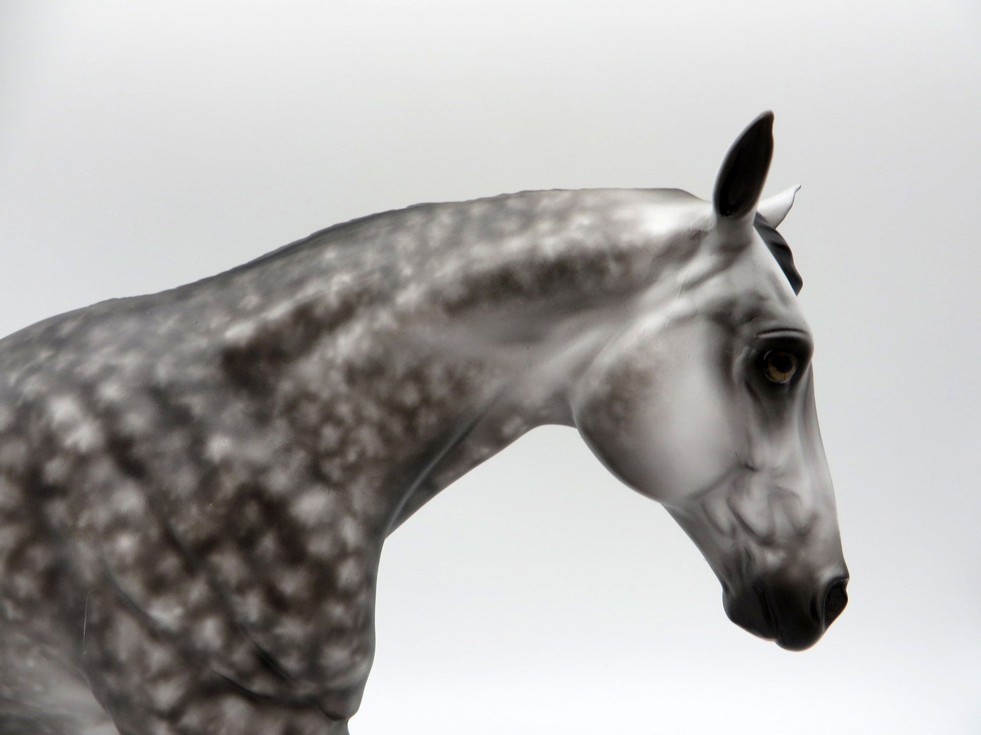 Zipper-OOAK Star Dapple Grey Running Stock Horse  SHCF 21