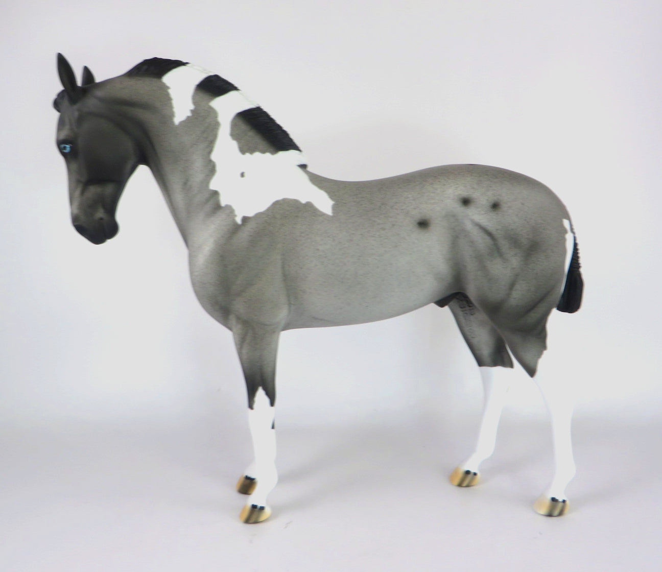 BLUE CHRISTMAS  - LE-15 BLUE ROAN PINTO ANDALUSIAN BY DAWN QUICK WHS19