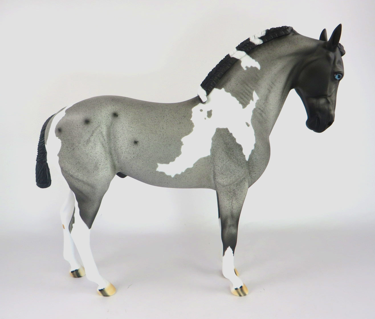 BLUE CHRISTMAS  - LE-15 BLUE ROAN PINTO ANDALUSIAN BY DAWN QUICK WHS19