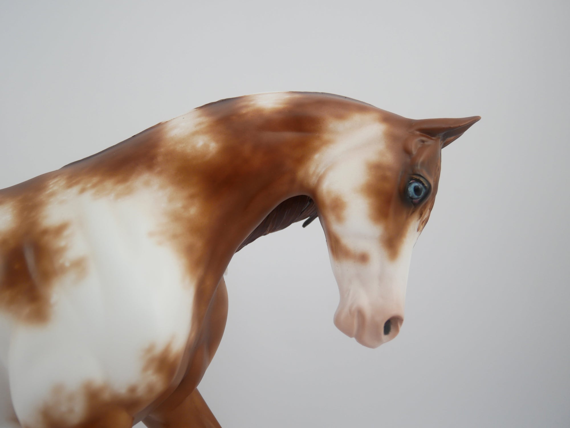 Abstract Expressions-OOAK Chestnut Sabino by Sheryl Leisure