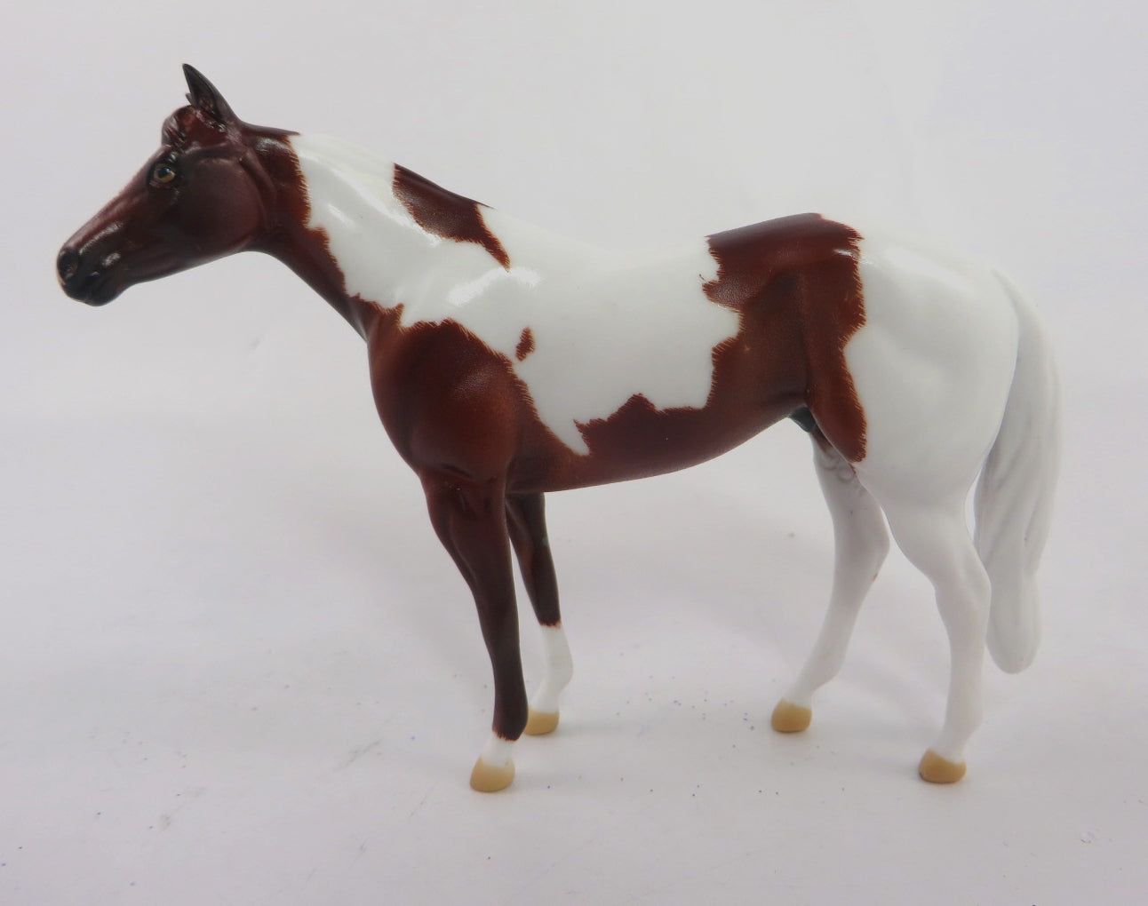 AIN'T MISBEHAVIN-OOAK BAY PINTO STOCK HORSE CHIP 1/8/20