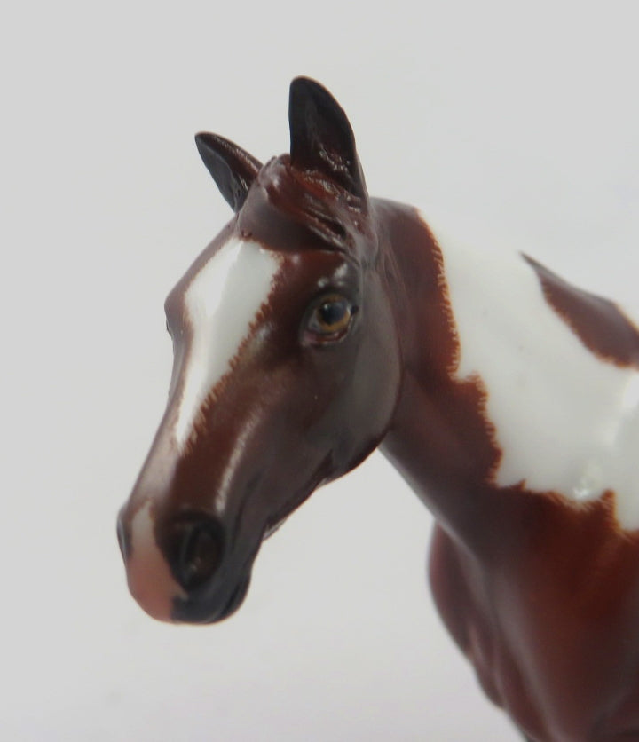 AIN&#39;T MISBEHAVIN-OOAK BAY PINTO STOCK HORSE CHIP 1/8/20
