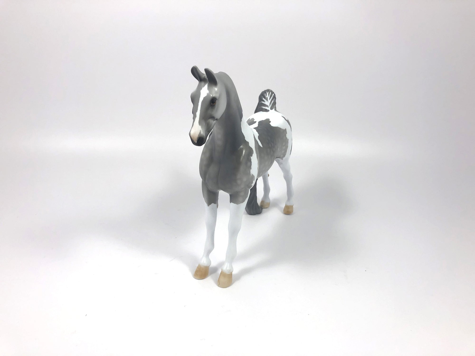 AKELA -- LE-5 DAPPLE GREY PINTO SADDLEBRED PEBBLES MODEL HORSE BY DAWN QUICK 4/25/19