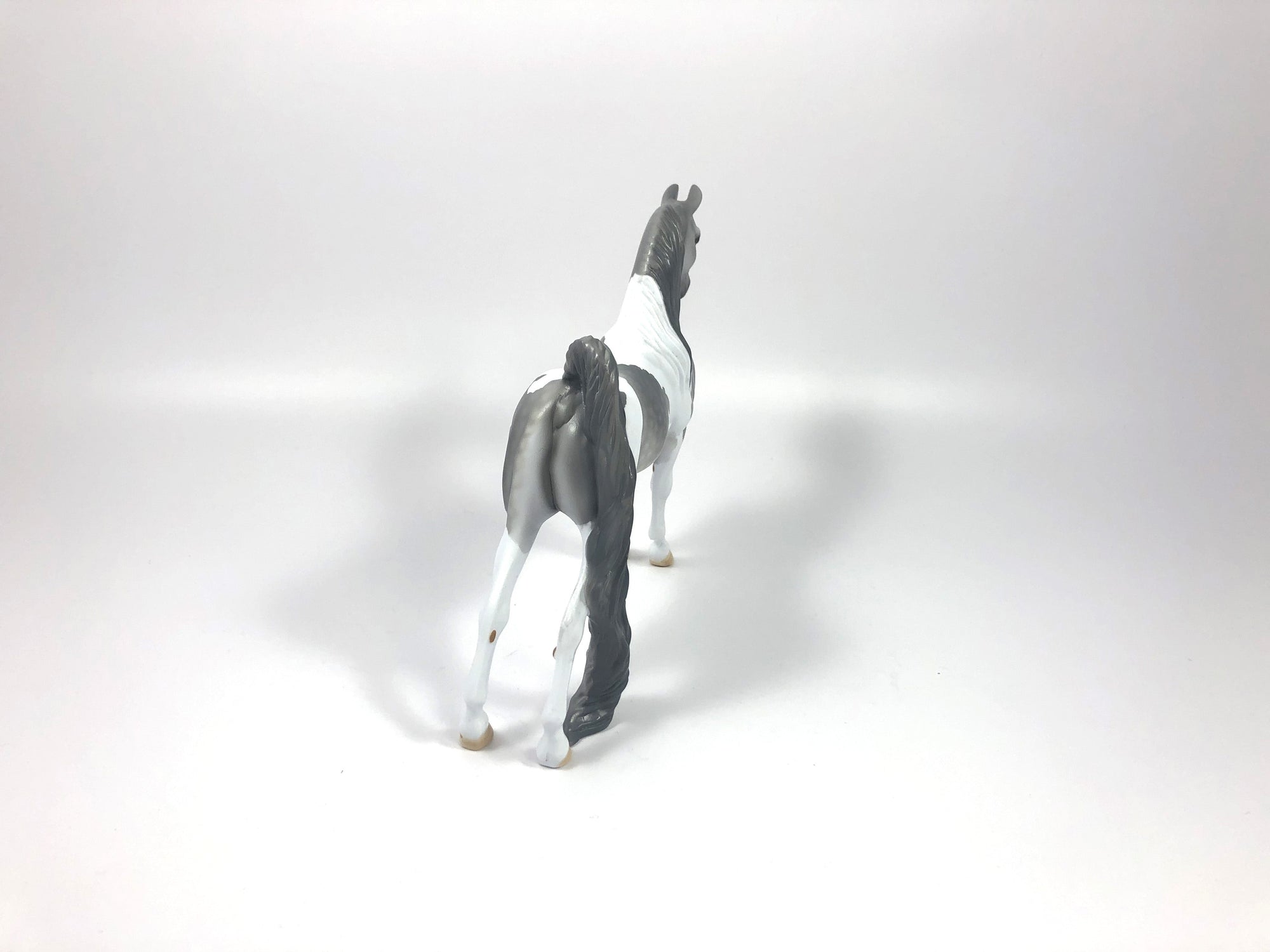 AKELA -- LE-5 DAPPLE GREY PINTO SADDLEBRED PEBBLES MODEL HORSE BY DAWN QUICK 4/25/19