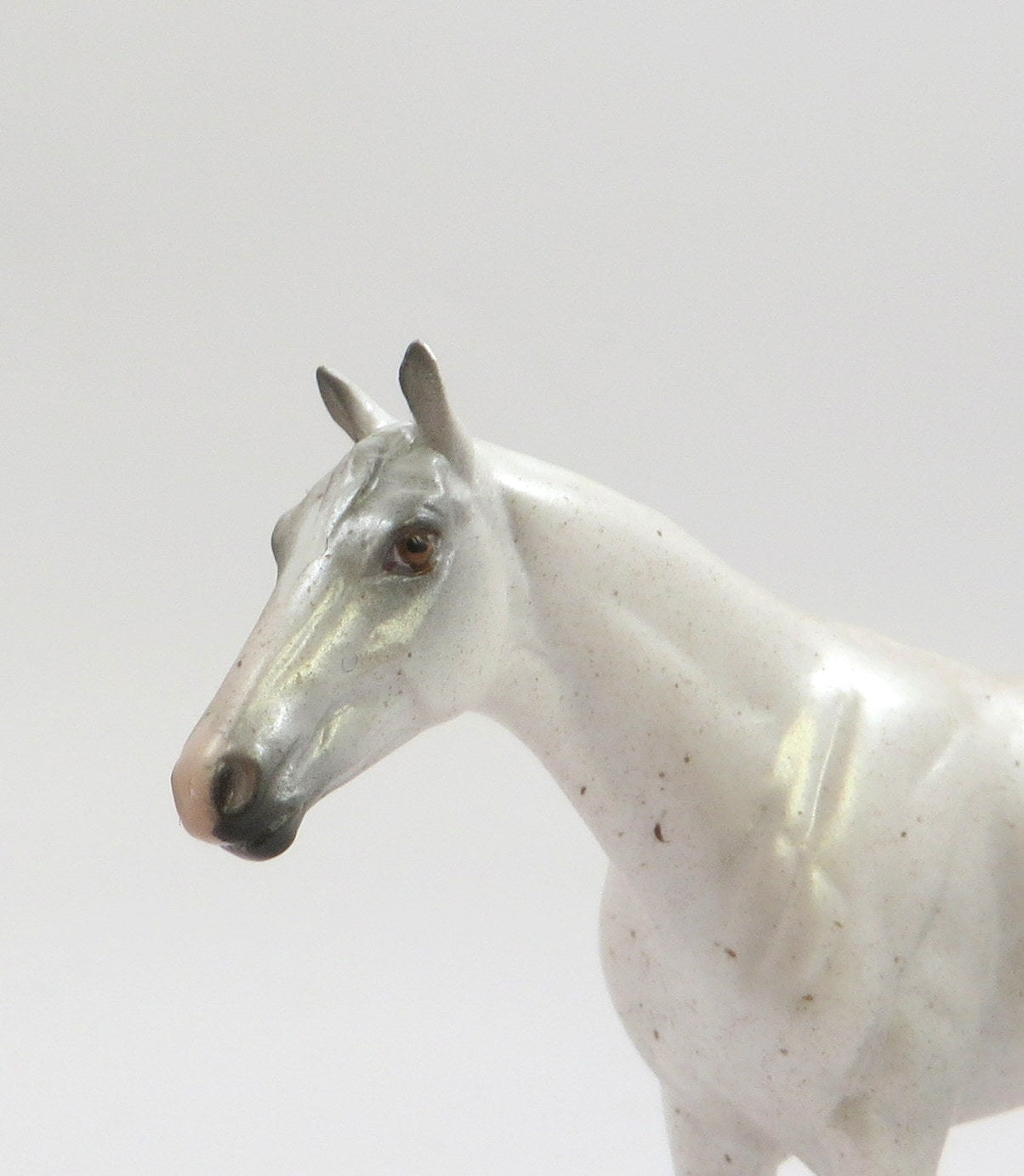 AKOYA-OOAK FLEABIT GREY THORUGHBRED CHIP SHCF 2019