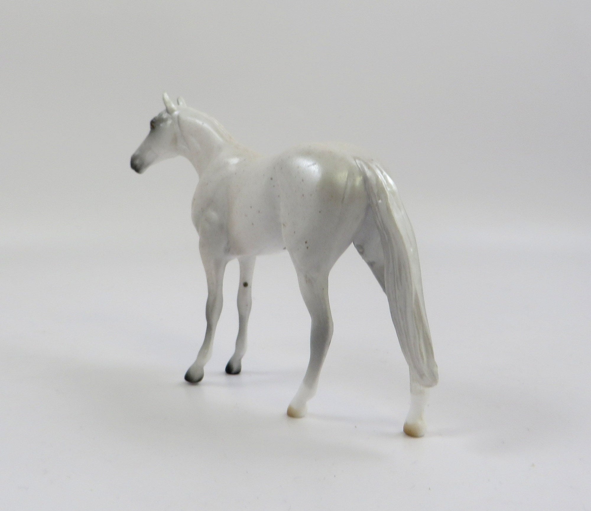 AKOYA-OOAK FLEABIT GREY THORUGHBRED CHIP SHCF 2019