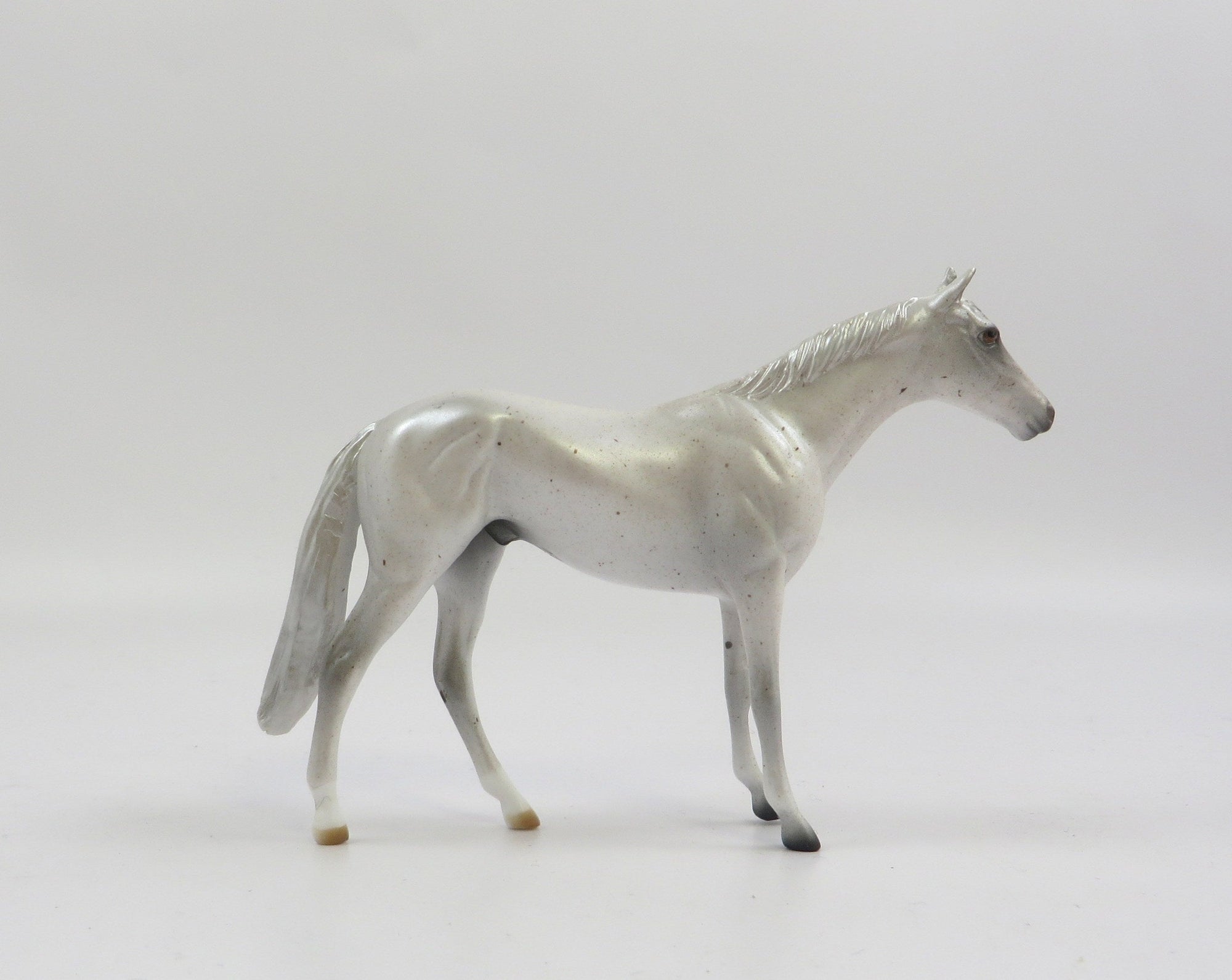 AKOYA-OOAK FLEABIT GREY THORUGHBRED CHIP SHCF 2019