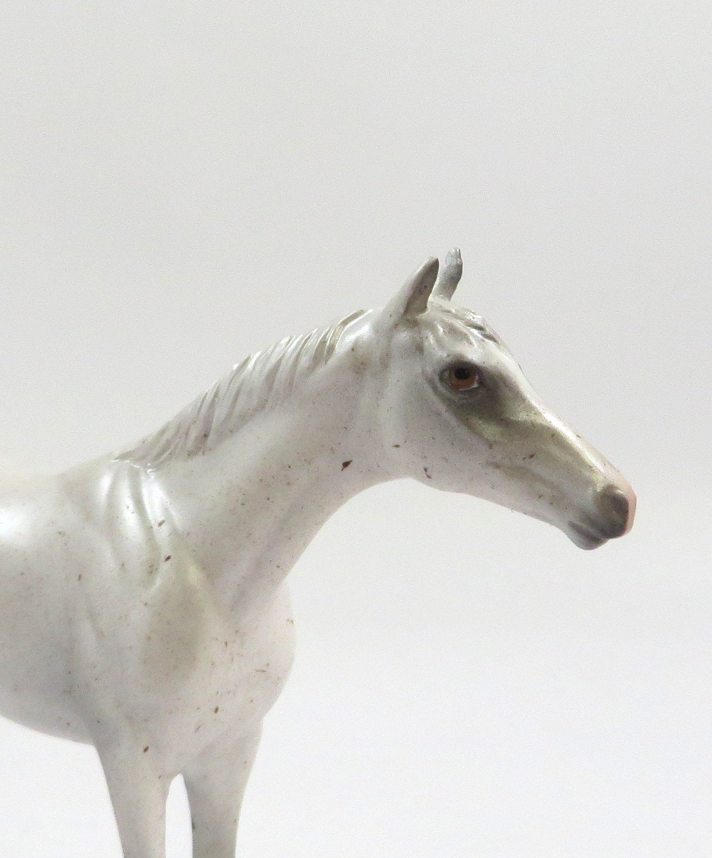 AKOYA-OOAK FLEABIT GREY THORUGHBRED CHIP SHCF 2019