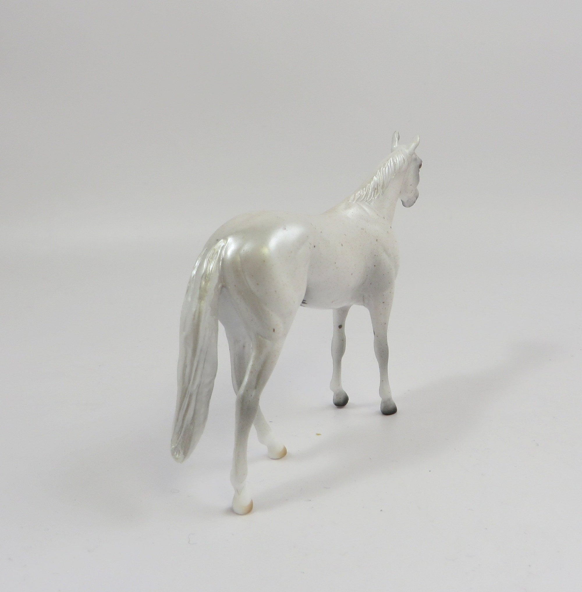 AKOYA-OOAK FLEABIT GREY THORUGHBRED CHIP SHCF 2019