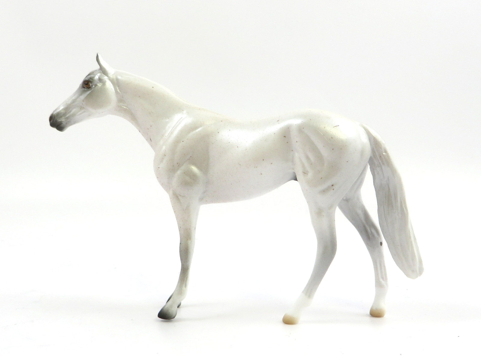 AKOYA-OOAK FLEABIT GREY THORUGHBRED CHIP SHCF 2019