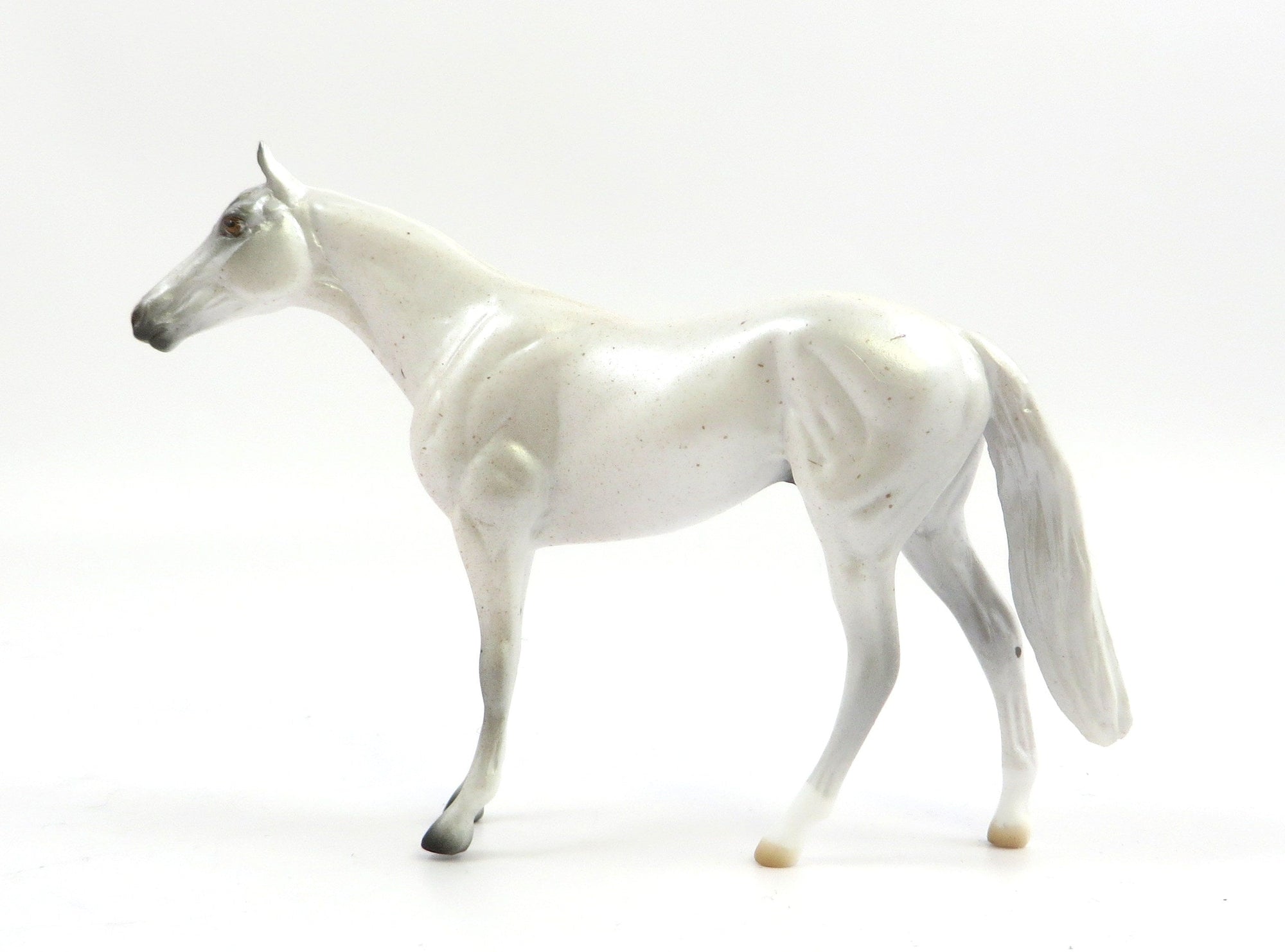 AKOYA-OOAK FLEABIT GREY THORUGHBRED CHIP SHCF 2019