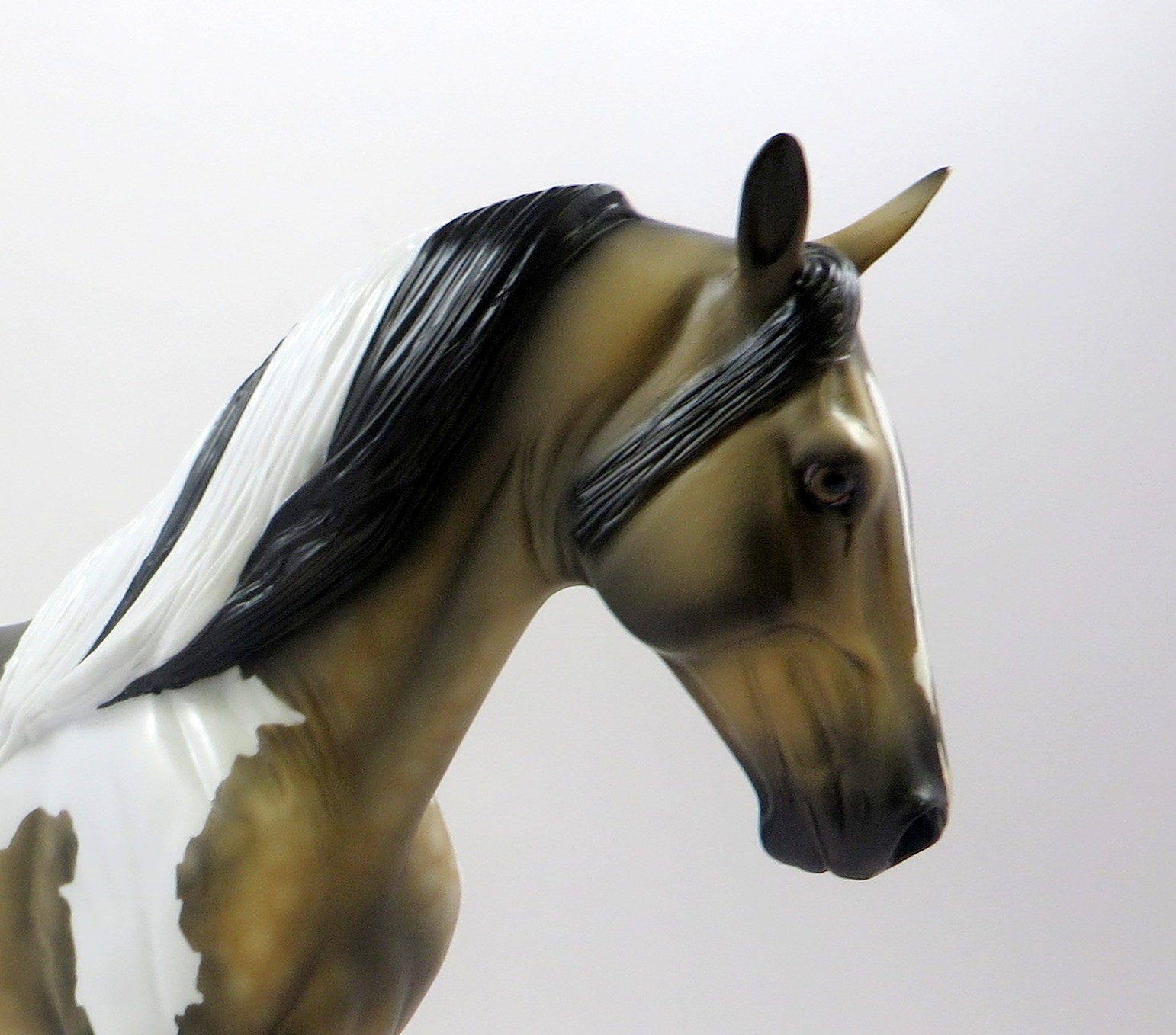 ALARIC-OOAK BUCKSKIN DAPPLE BUCKSKIN PINTO TENNESSEE WALKER EQ 2019