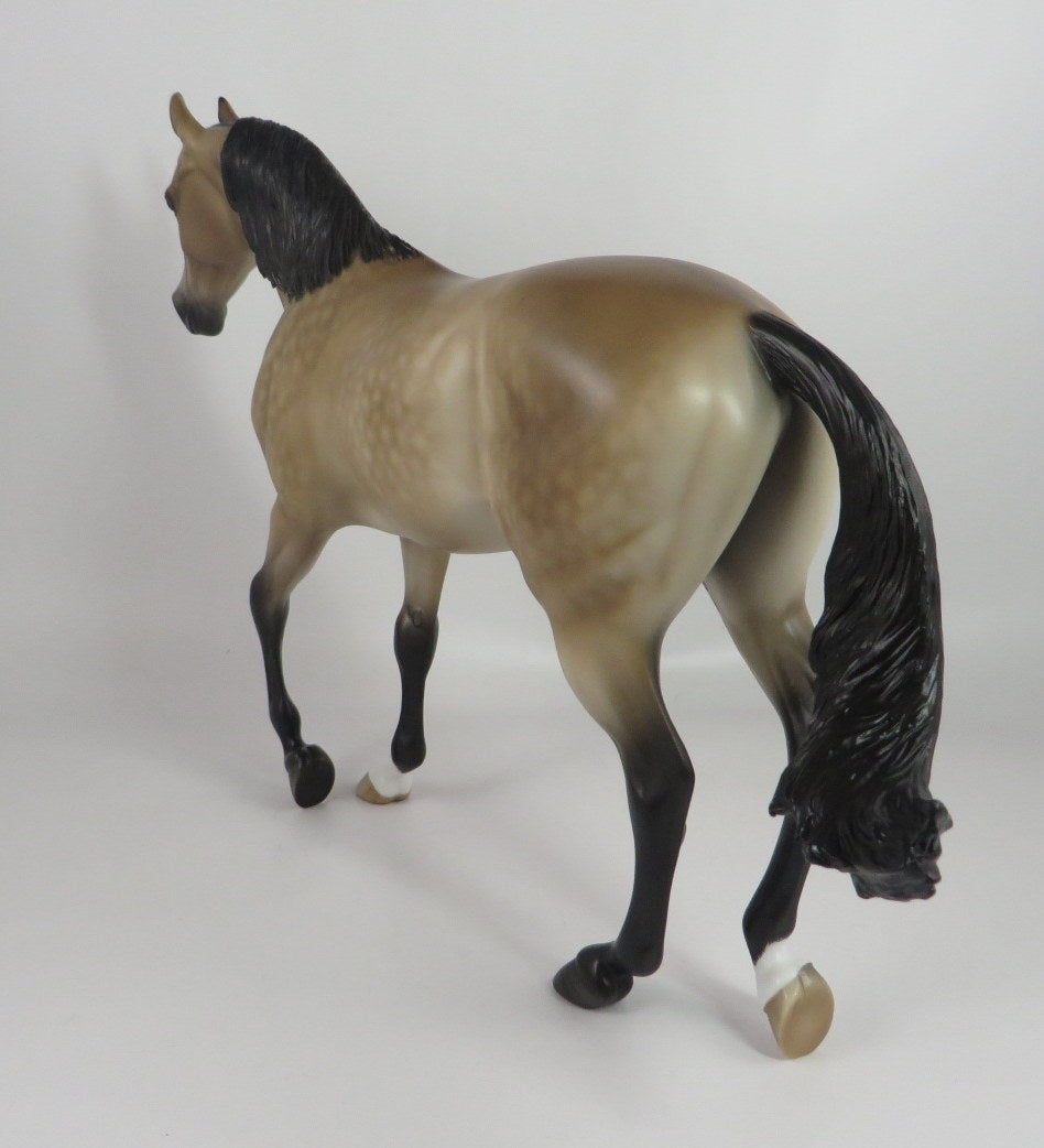 ALFRED-OOAK STAR DAPPLE BUCKSKIN THOROUGHBRED BY SHERYL LEISURE WHS 19