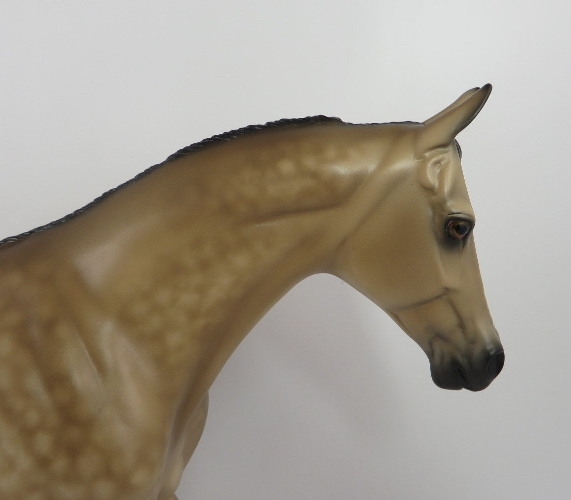 ALFRED-OOAK STAR DAPPLE BUCKSKIN THOROUGHBRED BY SHERYL LEISURE WHS 19