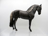 Algernon-Sun Burnt Black Andalusian Painted By Sheryl Leisure 3/22