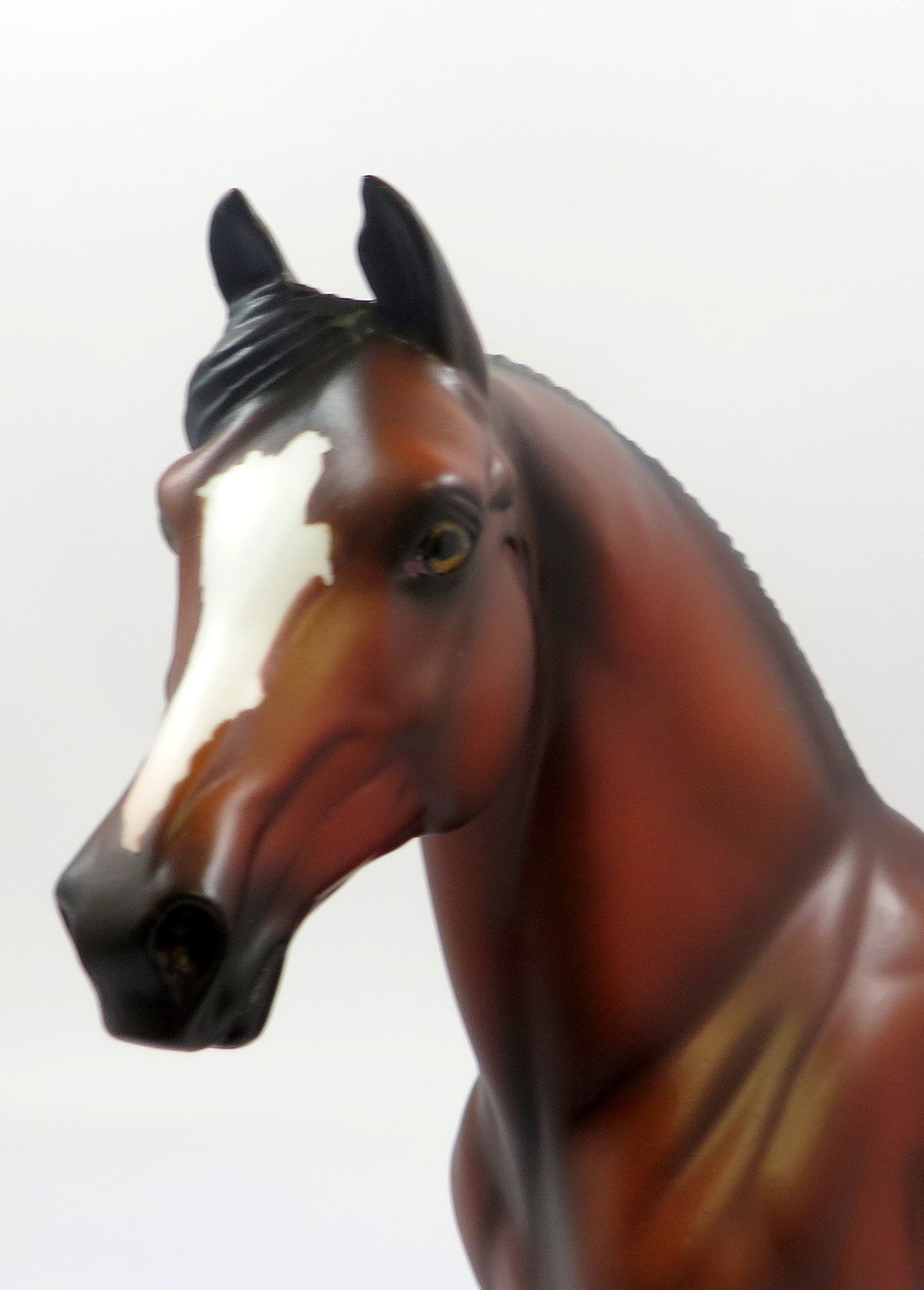 ALILI-OOAK BAY MORGAN MODEL HORSE EQ 19