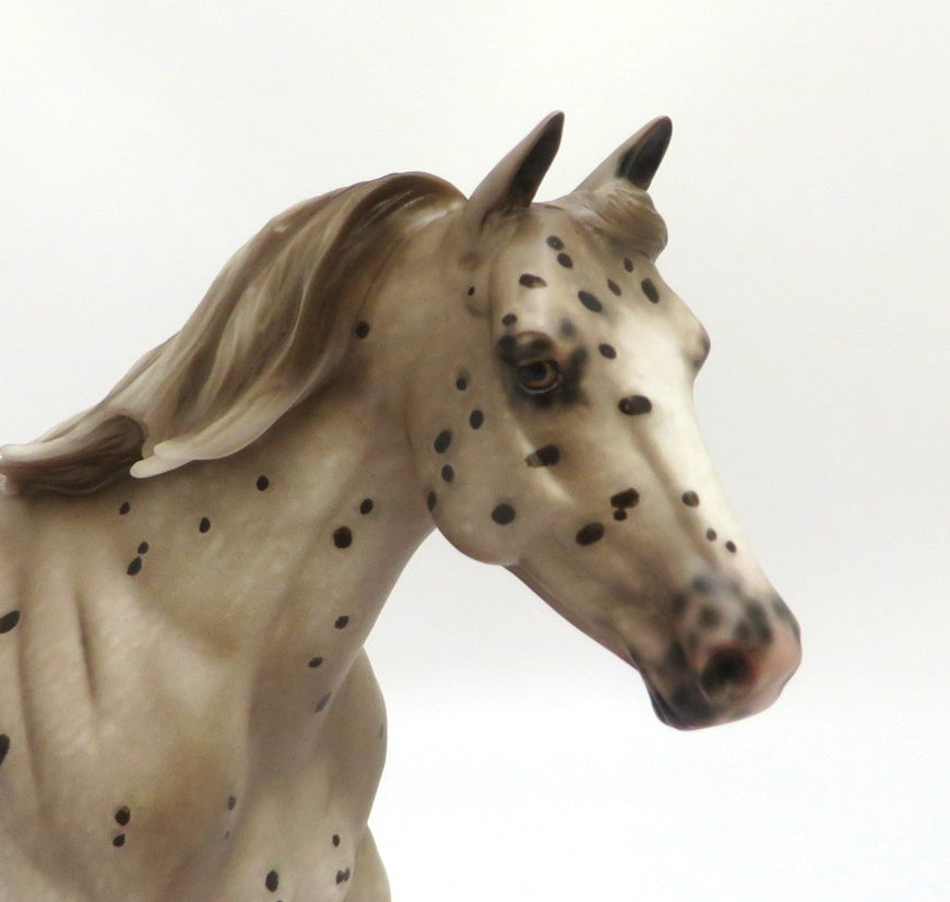 ALLEZ ALLEZ - OOAK CHESTNUT APPALOOSA FOUNDATION QUARTER HORSE BY SHERYL LEISURE 3/4/20