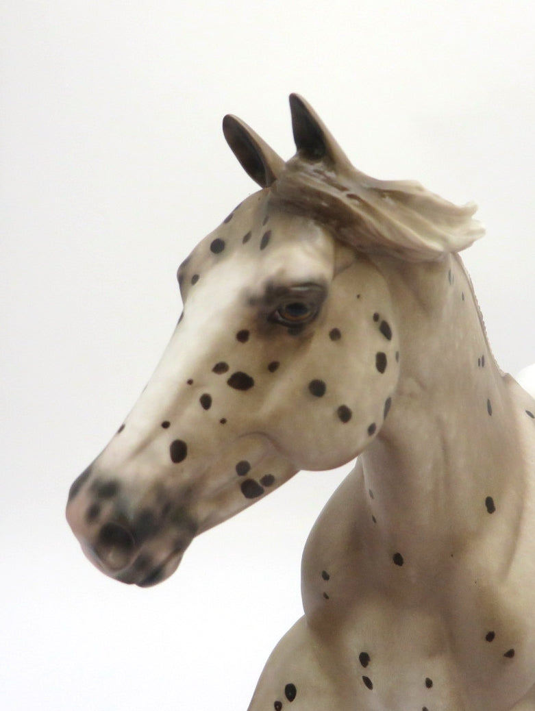 ALLEZ ALLEZ - OOAK CHESTNUT APPALOOSA FOUNDATION QUARTER HORSE BY SHERYL LEISURE 3/4/20