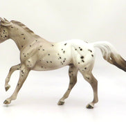 ALLEZ ALLEZ - OOAK CHESTNUT APPALOOSA FOUNDATION QUARTER HORSE BY SHERYL LEISURE 3/4/20