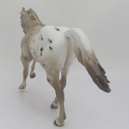 ALLEZ ALLEZ - OOAK CHESTNUT APPALOOSA FOUNDATION QUARTER HORSE BY SHERYL LEISURE 3/4/20