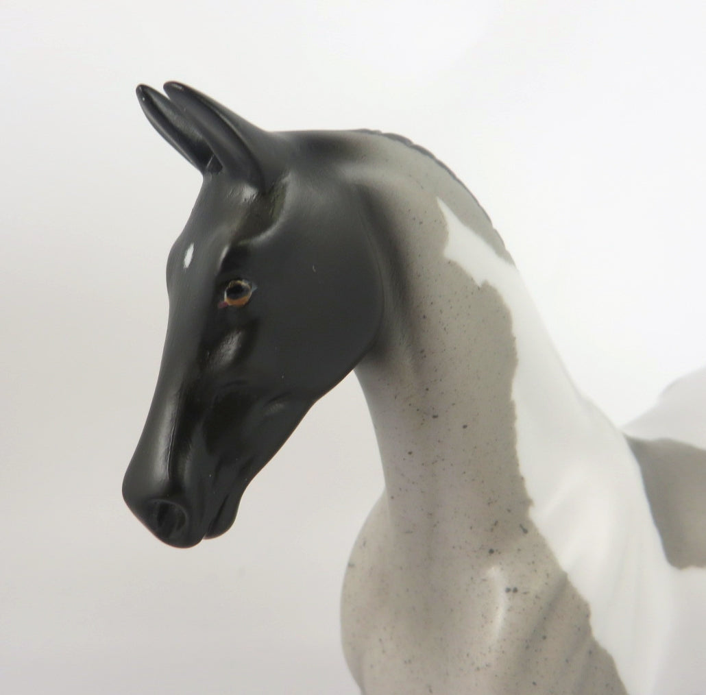 AMAZING PEACE -- OOAK BLUE ROAN PINTO SADDLEBRED PEBBLES BY AUDREY DIXON WHS19