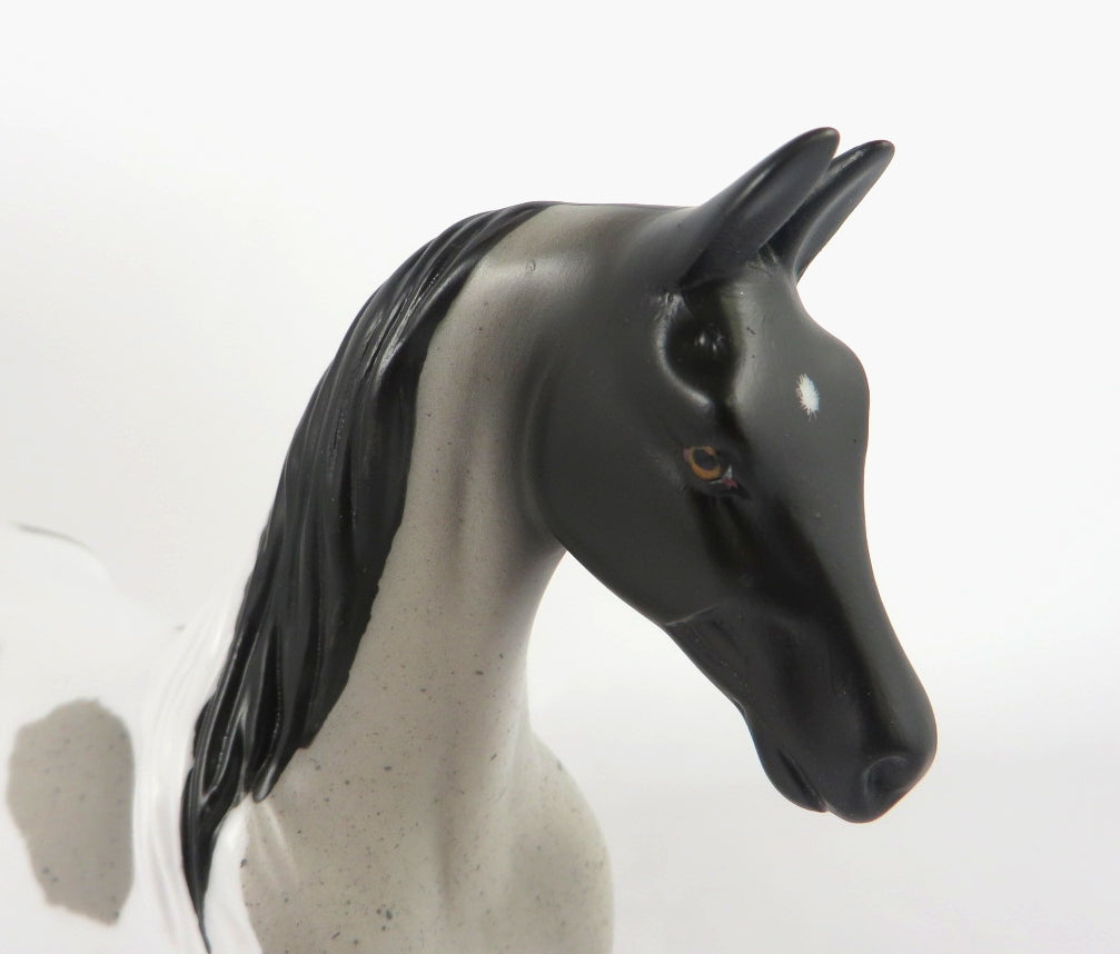 AMAZING PEACE -- OOAK BLUE ROAN PINTO SADDLEBRED PEBBLES BY AUDREY DIXON WHS19