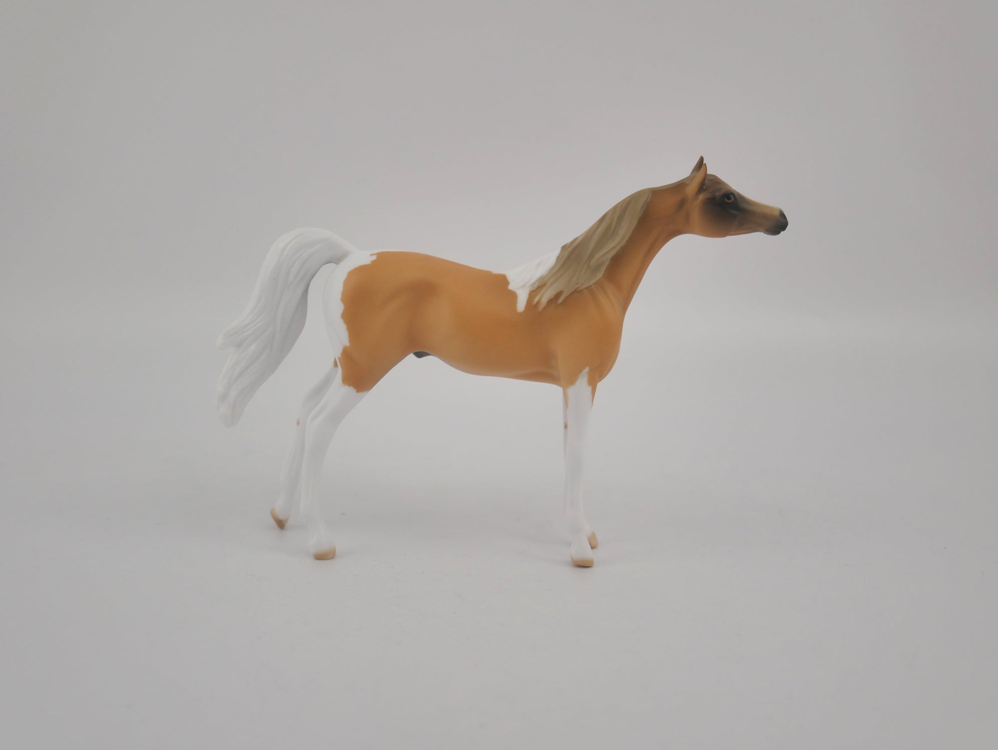 AMBER WAVE-OOAK ARAB PALOMINO CHIP