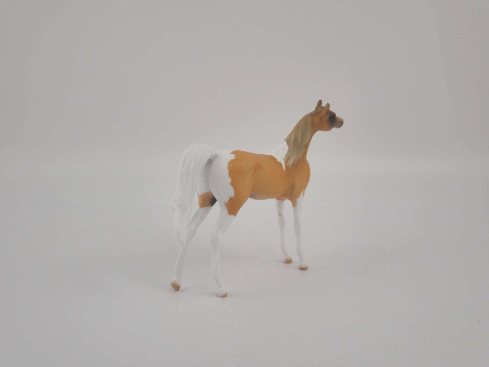 AMBER WAVE-OOAK ARAB PALOMINO CHIP