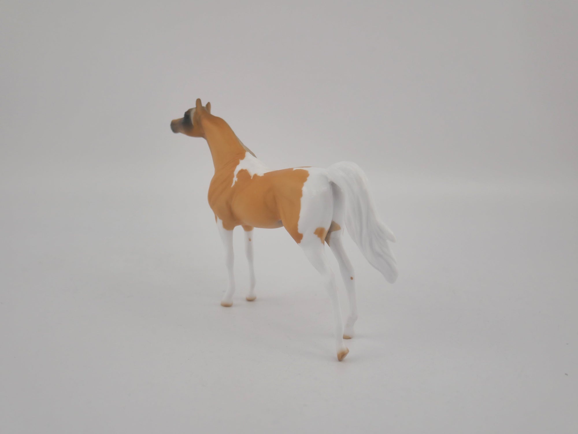 AMBER WAVE-OOAK ARAB PALOMINO CHIP