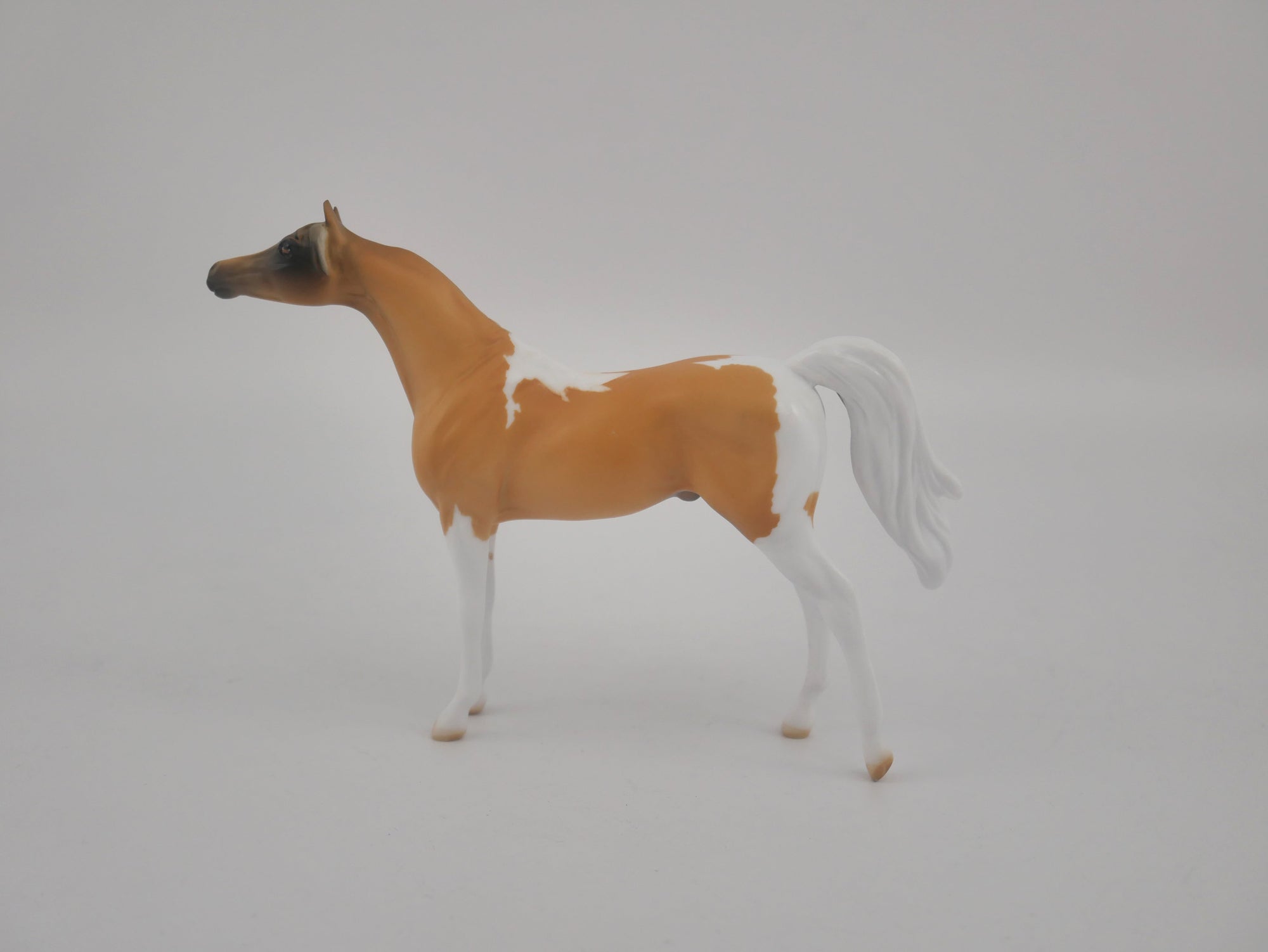AMBER WAVE-OOAK ARAB PALOMINO CHIP