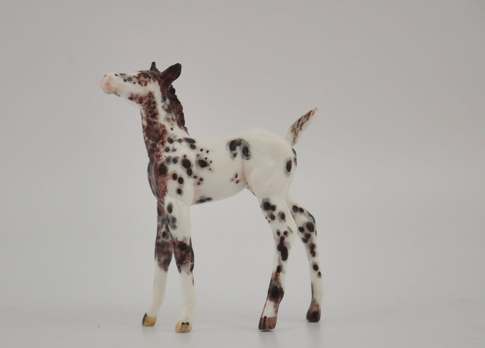 AMBISHADOW -OOAK CHESTNUT LEOPARD APPALOOSA FOAL BY ANDREA