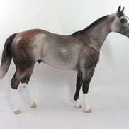 AMBITIOUS-OOAK DAPPLE ROSE GREY ISH MODEL HORSE 1/7/20