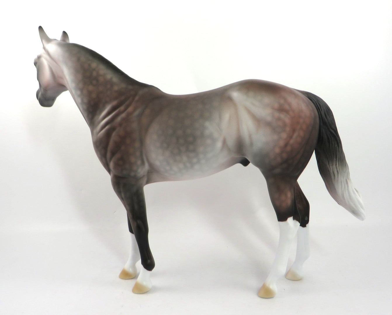 AMBITIOUS-OOAK DAPPLE ROSE GREY ISH MODEL HORSE 1/7/20