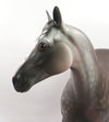 AMBITIOUS-OOAK DAPPLE ROSE GREY ISH MODEL HORSE 1/7/20