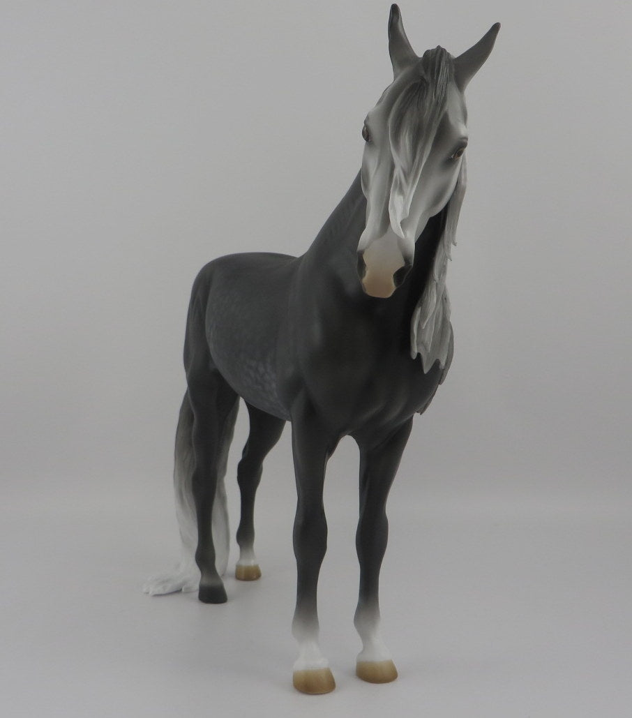 Ambrose-OOAK Dapple Grey Andalusian EQ 2020