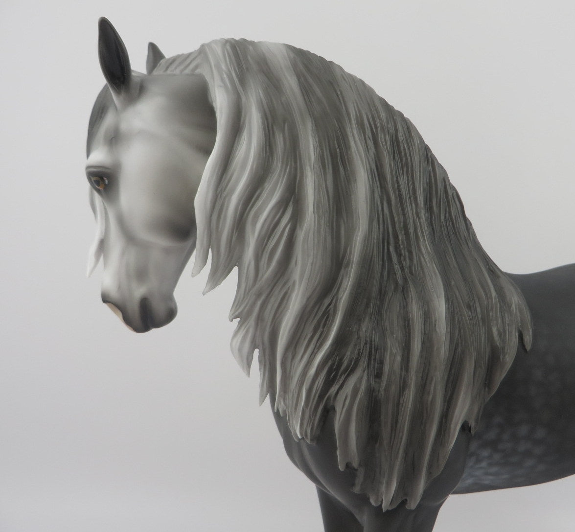 Ambrose-OOAK Dapple Grey Andalusian EQ 2020
