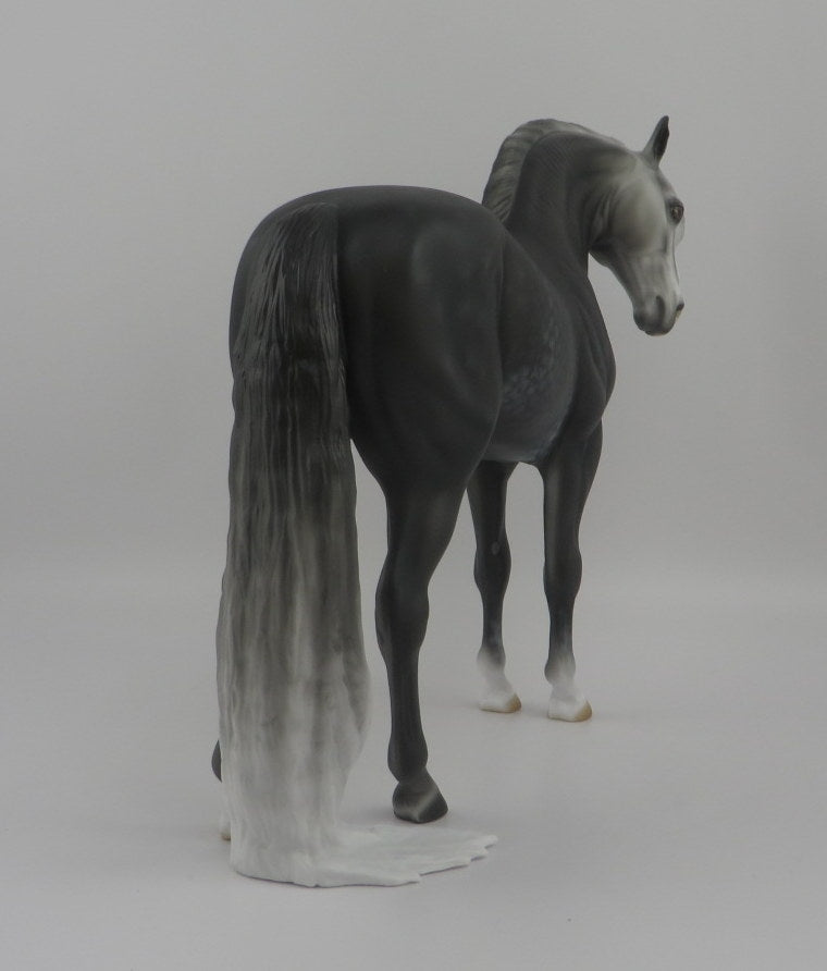 Ambrose-OOAK Dapple Grey Andalusian EQ 2020