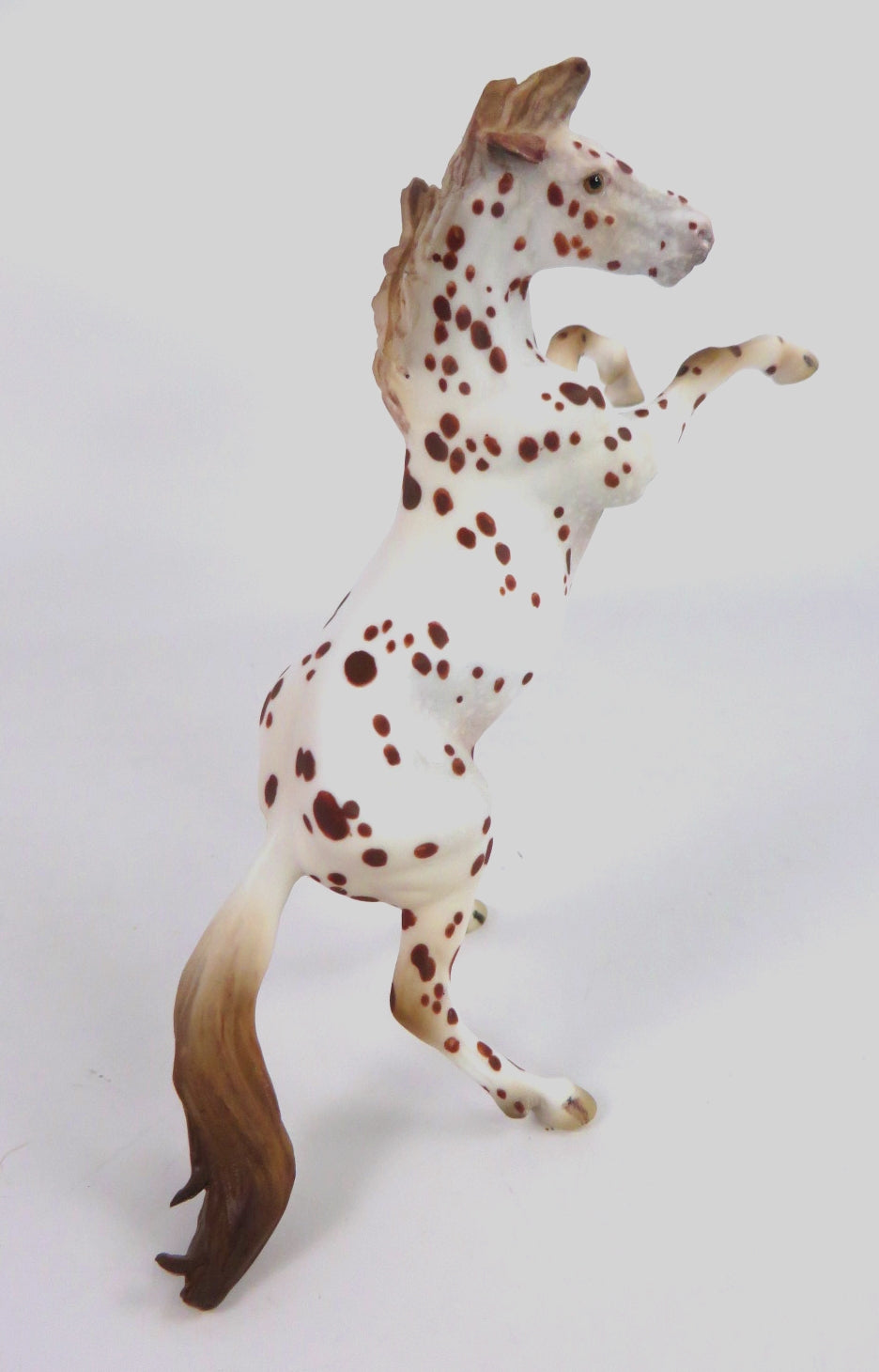 AMBUSH-OOAK CHESTNUT APPALOOSA REARING CHIP WHS 2019