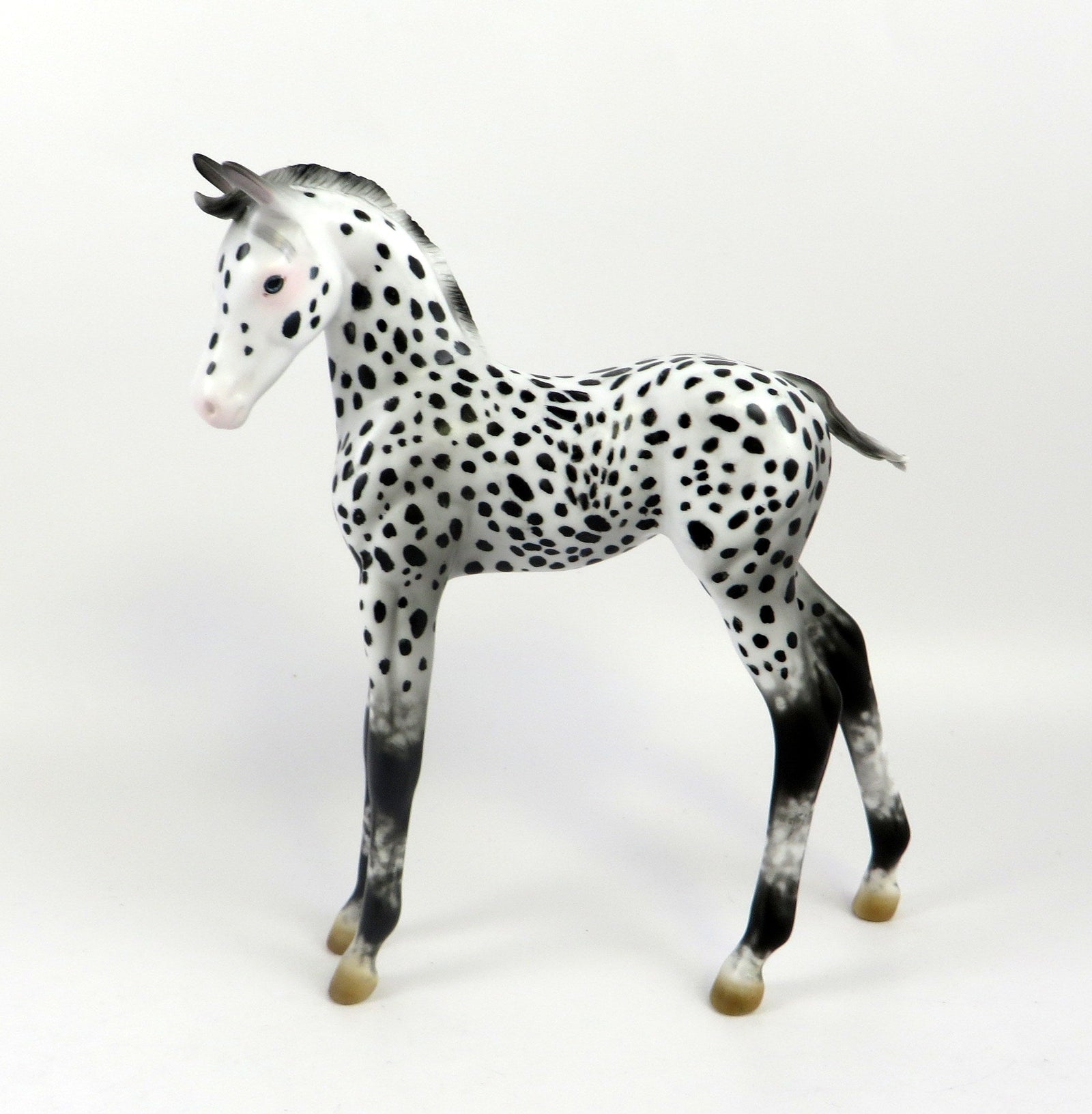 AMICE-OOAK LOUD APPALOOSA  ARABIAN FOAL MODEL HORSE EQ 19