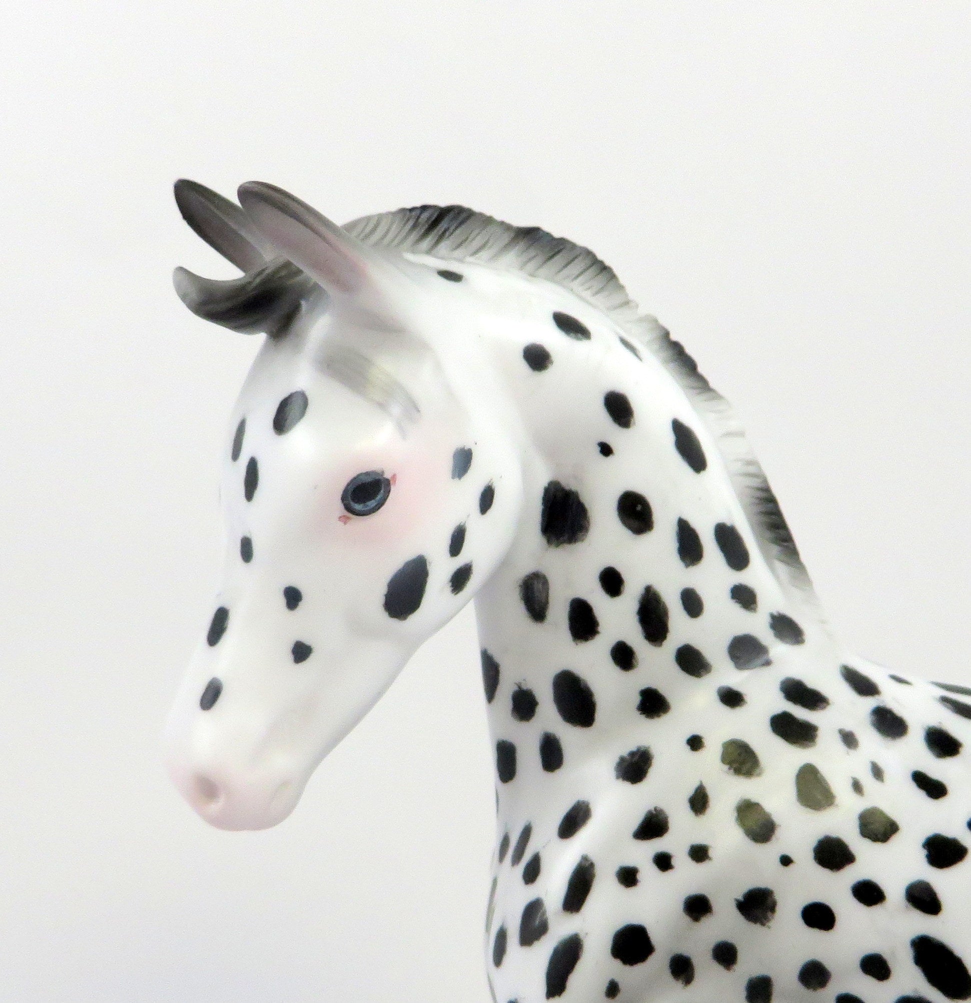 AMICE-OOAK LOUD APPALOOSA  ARABIAN FOAL MODEL HORSE EQ 19