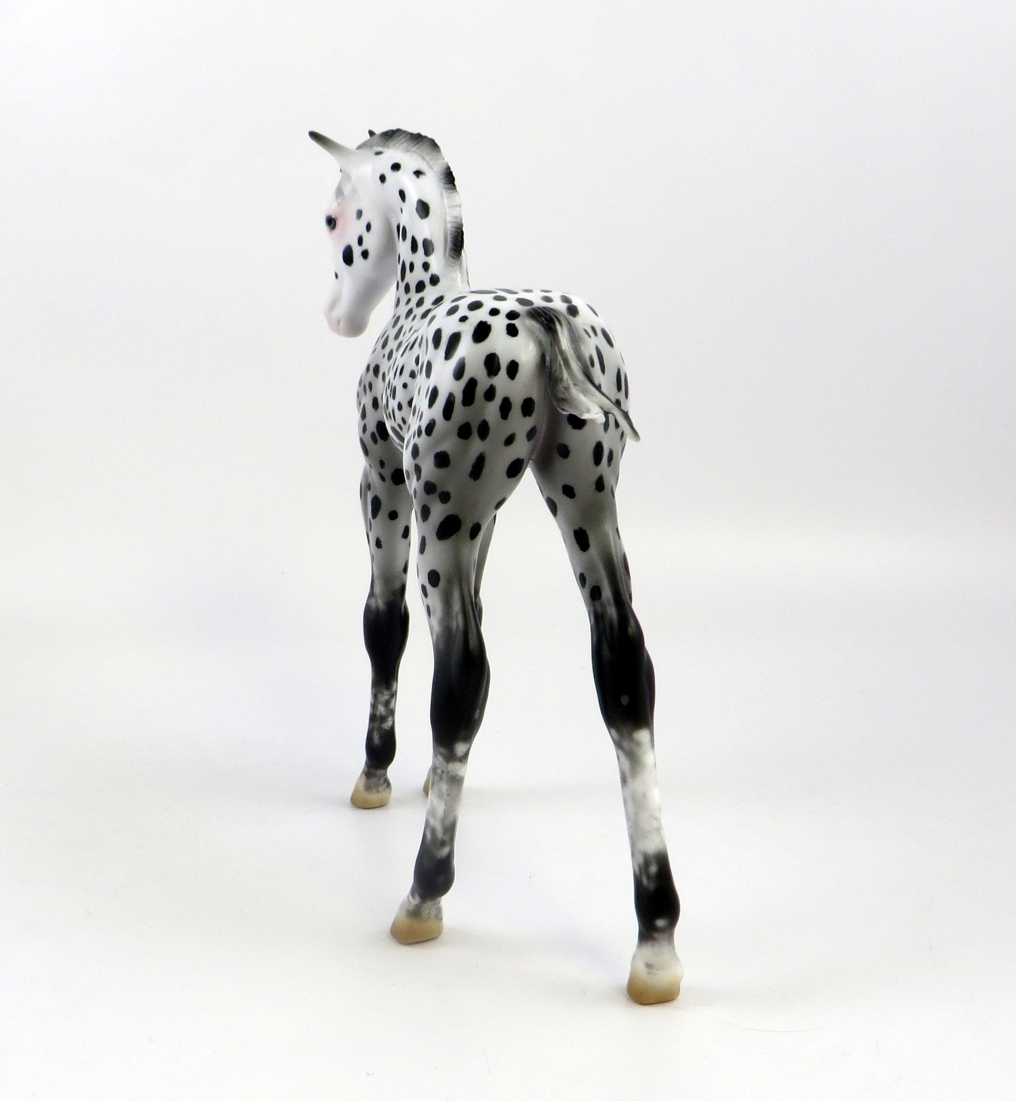 AMICE-OOAK LOUD APPALOOSA  ARABIAN FOAL MODEL HORSE EQ 19