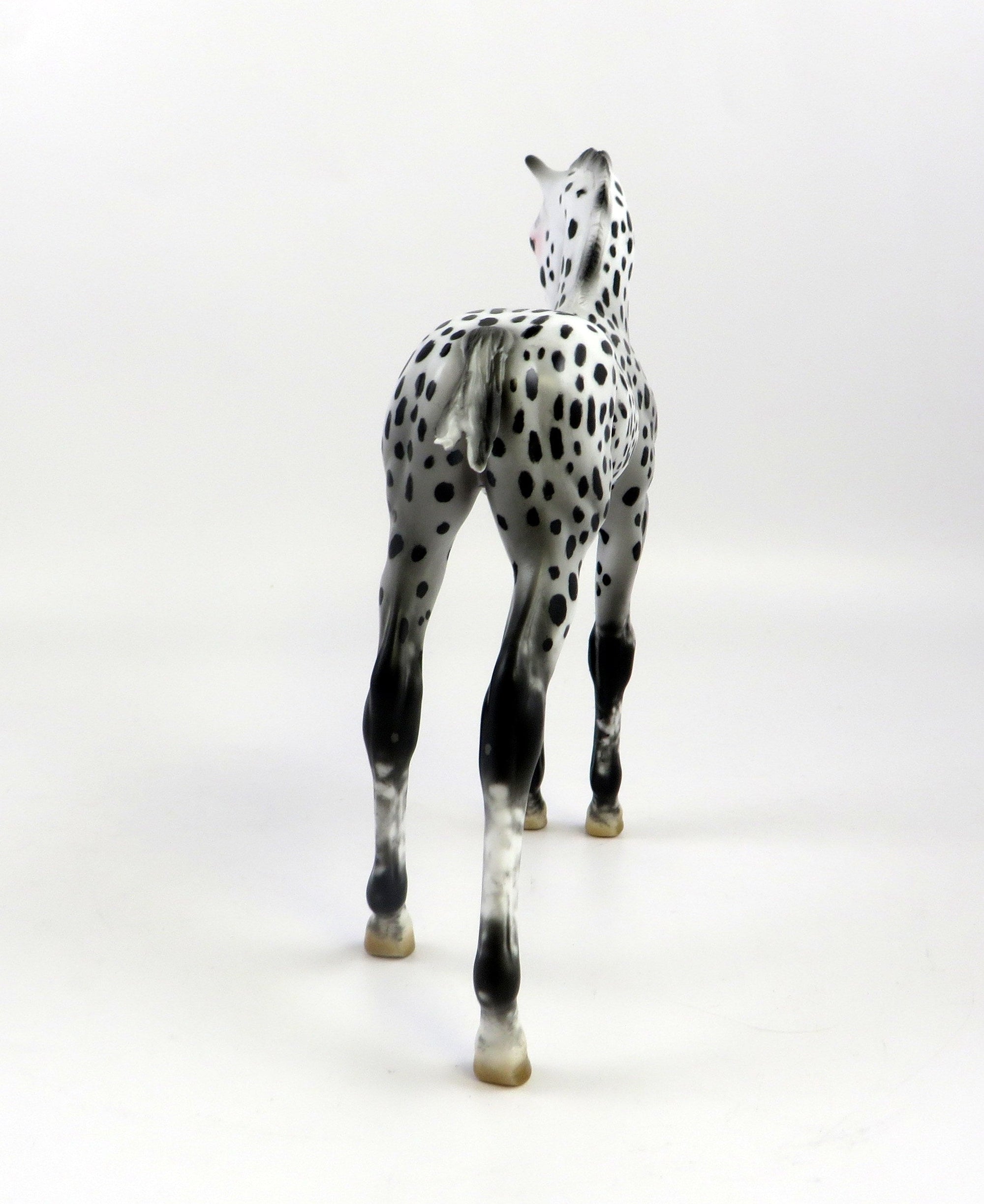 AMICE-OOAK LOUD APPALOOSA  ARABIAN FOAL MODEL HORSE EQ 19