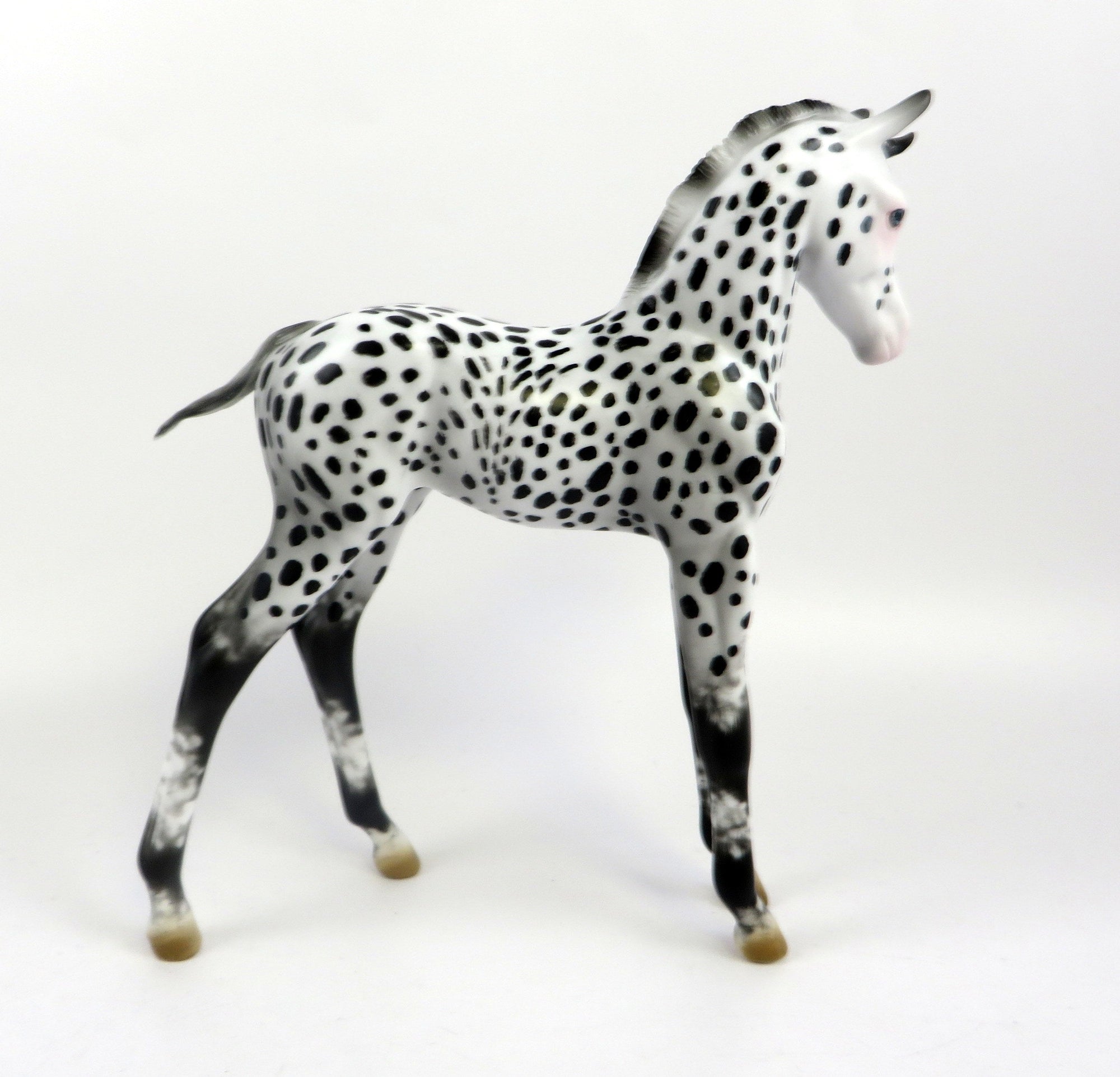 AMICE-OOAK LOUD APPALOOSA  ARABIAN FOAL MODEL HORSE EQ 19